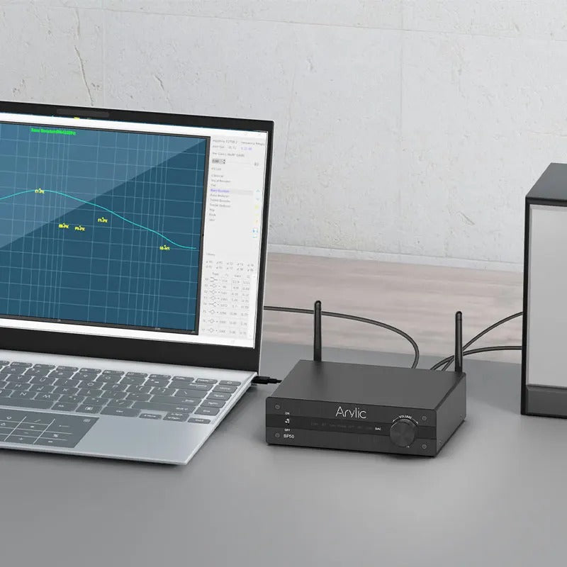 Arylic BP50 Stereo Class D Integrated Amp