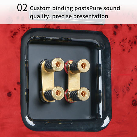 Poseidon two-frequency bookshelf speaker
