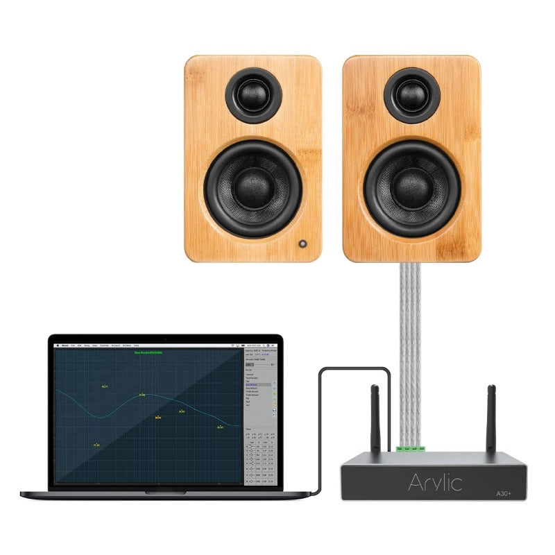 Arylic A30+ can be connected to both a computer and speakers