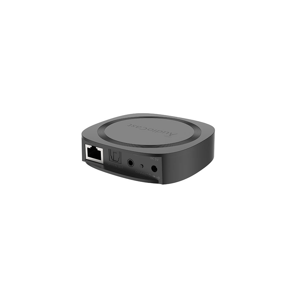 IEAST AudioCast Pro M20 WiFi & Bluetooth 5.0 Multi-Room Receiver