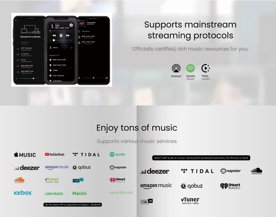 eAMP 2 Network Streaming Amplifier